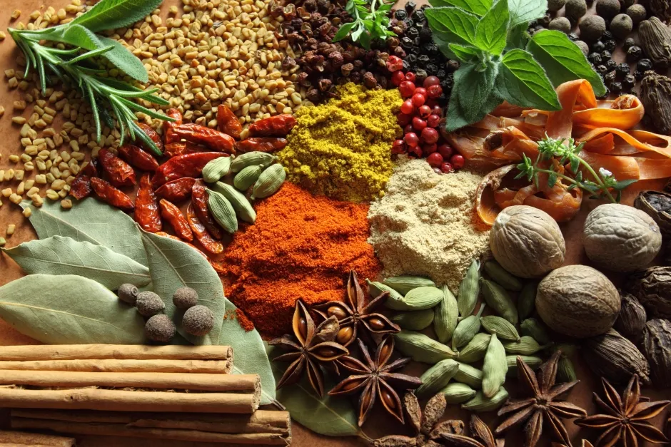 گیاهان و ادویه‌ ها
