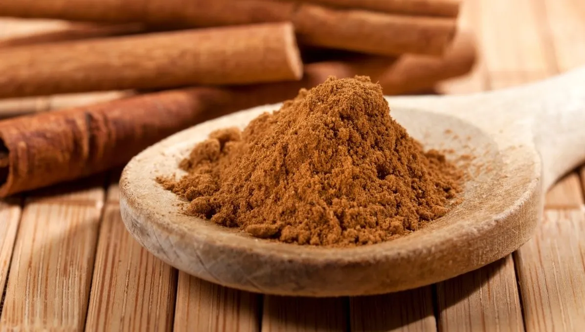مواد غذایی لاغر کننده