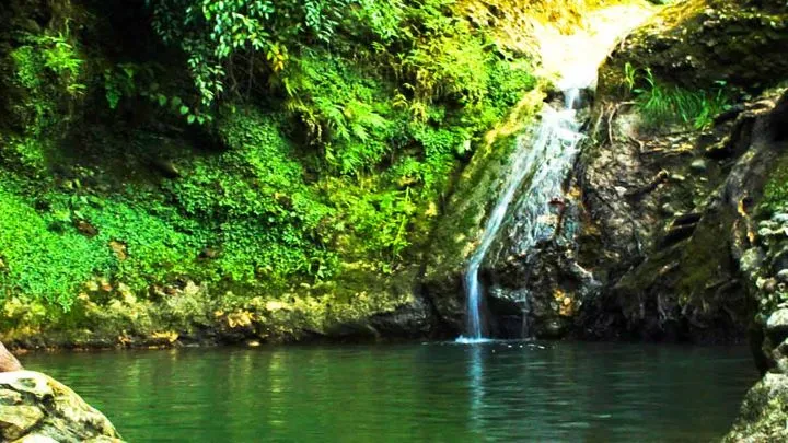 سوئیس ایران