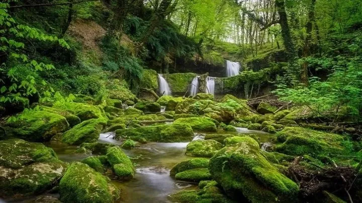 سوئیس ایران