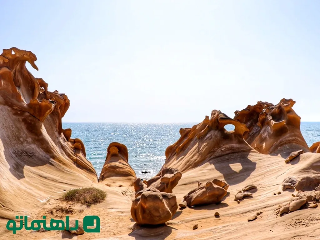 ساحل
