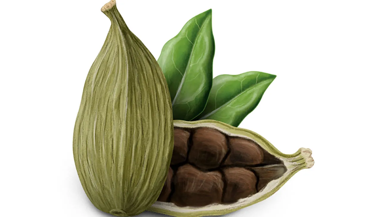 ماسک کدو