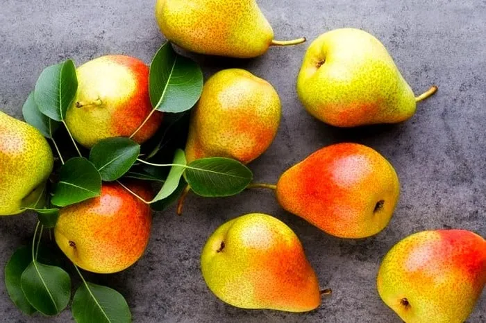 آب گیری میوه ها و سبزیجات