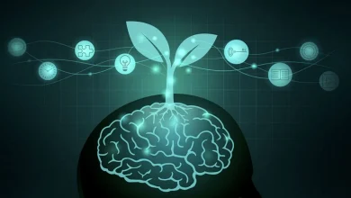 آیا تحصیلات در ابتلا به زوال عقل تاثیر دارد؟