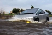 معلم فداکار