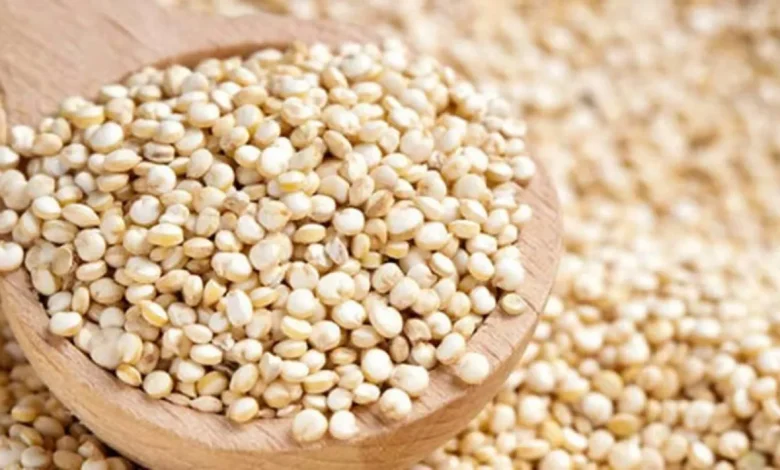 منبع پروتئین گیاهی