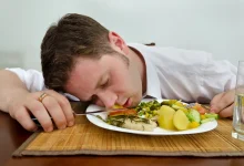 غذای اصیل ایرانی