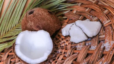 15 خاصیت شگفت‌انگیز نارگیل