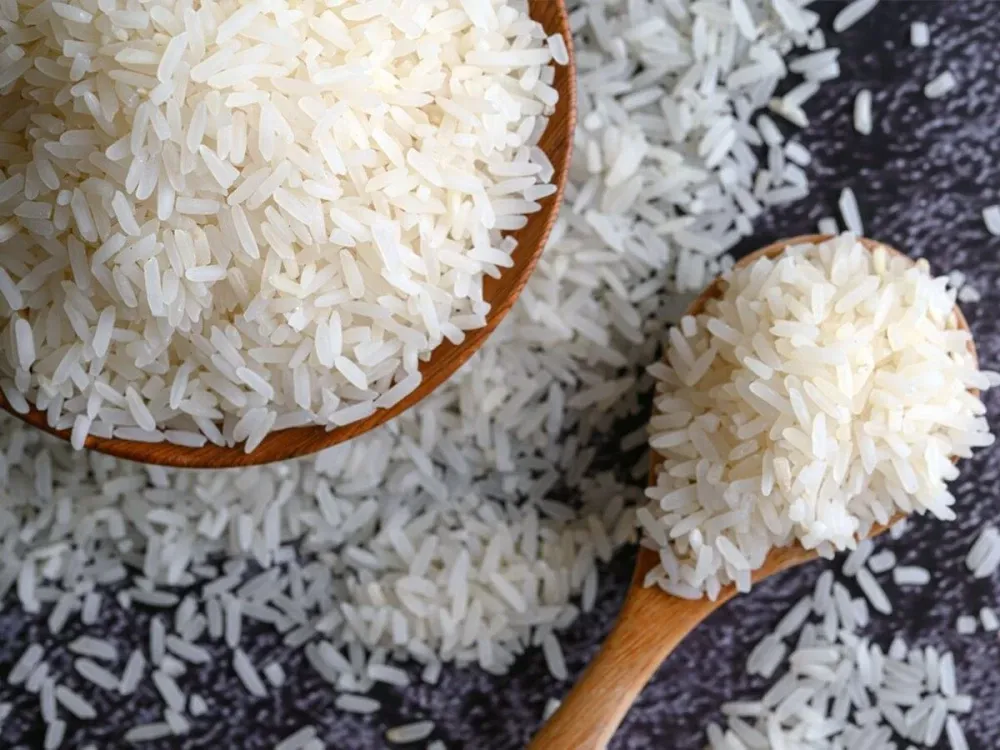برنج کشت اول یا دوم، کدام بهتر است ؟