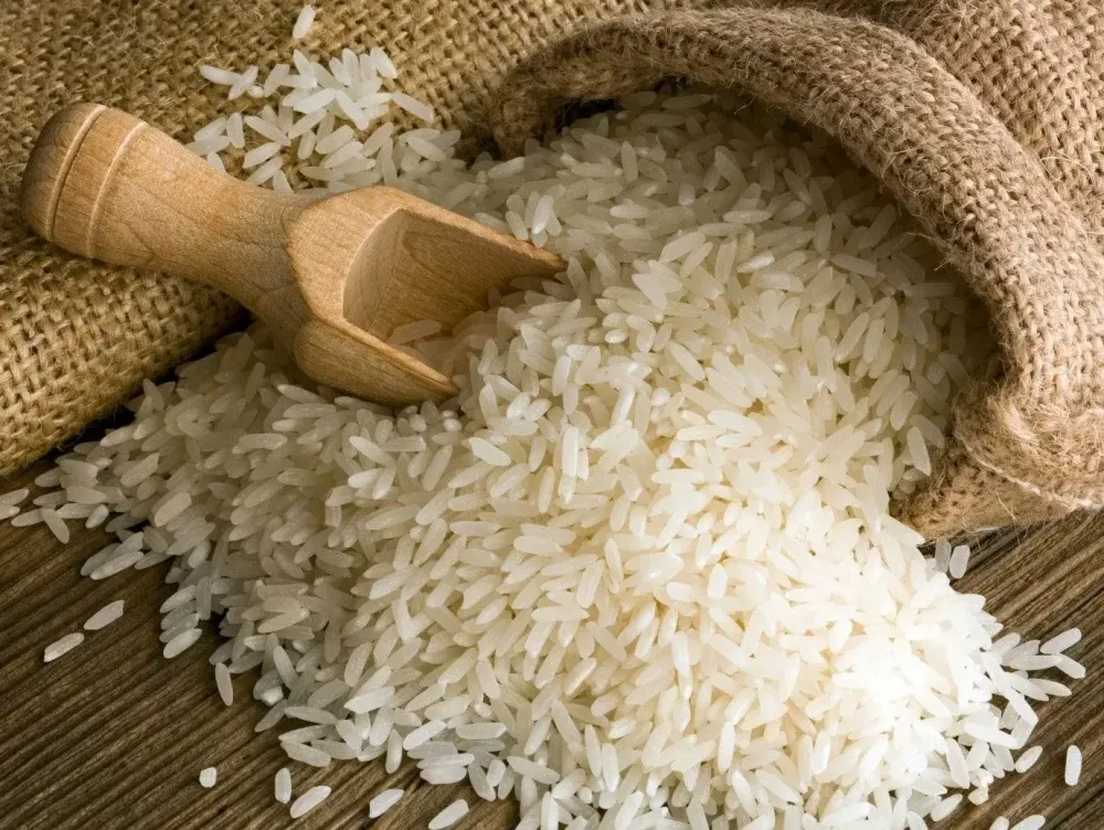 برنج کشت اول یا دوم، کدام بهتر است ؟2