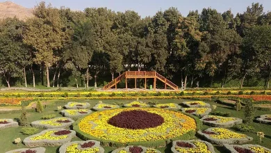 کرج کندوان