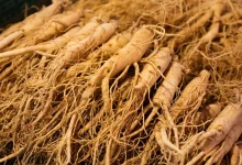 جینسینگ