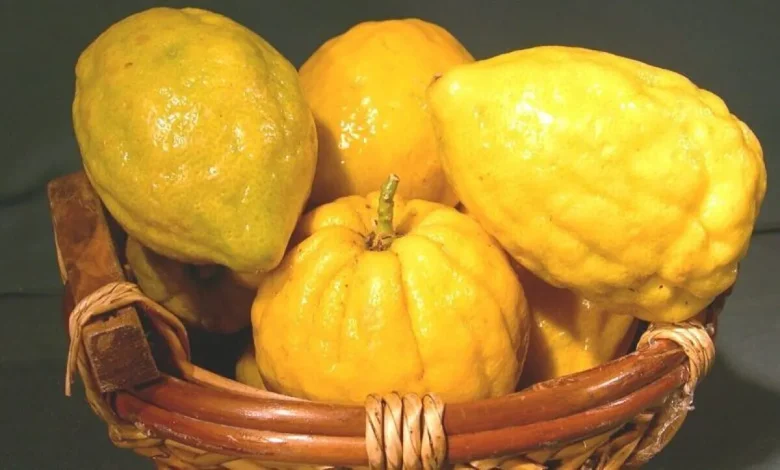 خواص عرق اترج