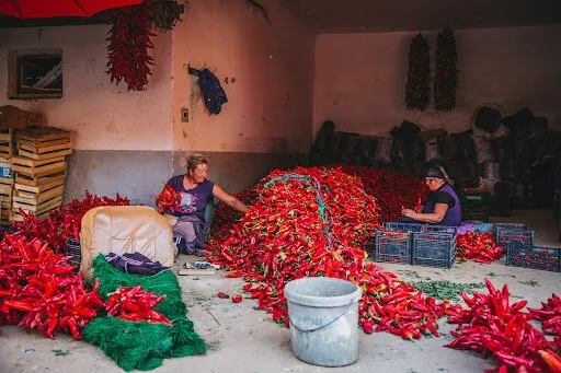 دیوارهای این روستا در پاییز قرمز می‌شود عکس2