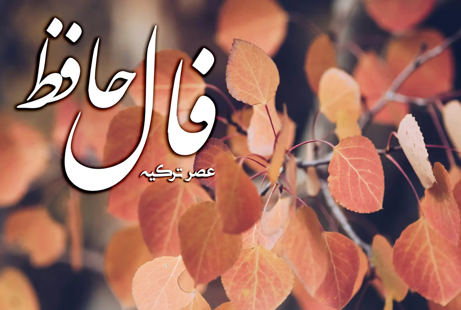 فال حافظ 13 آبان 1403