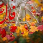 فال حافظ 9 آذر 1403: از منطق و عقل هم استفاده کن و تابع احساس نشو