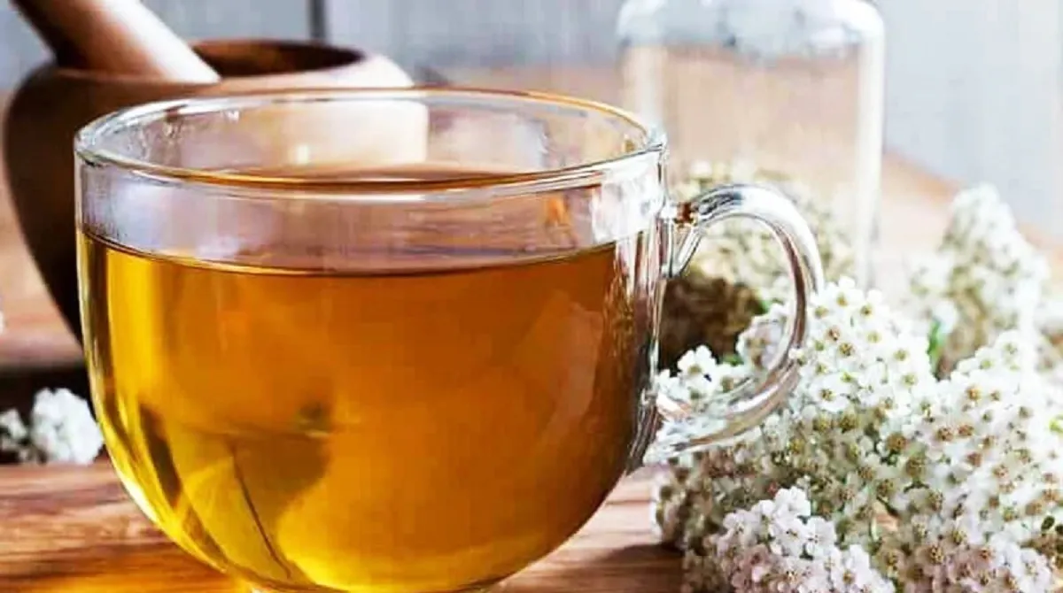 معرفی 5 دمنوش برای تنبلی تخمدان1