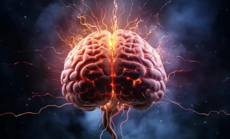 مغز مدیر کنترل ترافیک دارد