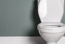 نشستن