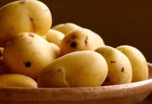 سیب‌زمینی