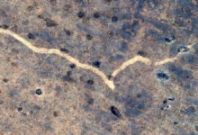 گوگل مپ