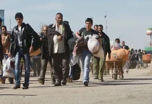 مهاجران غیرقانونی