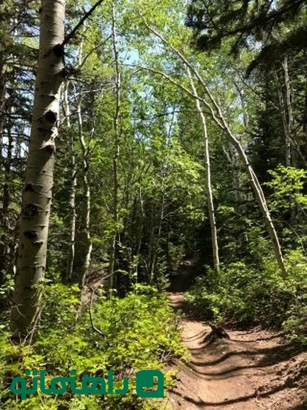 میکرو مدیتیشن