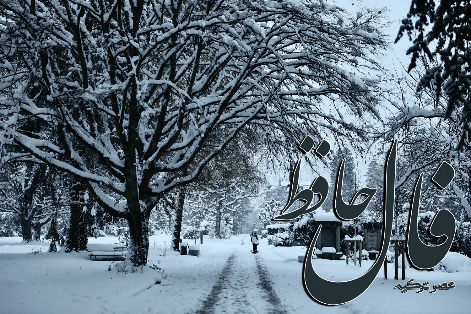 فال حافظ 30 آذر 1403