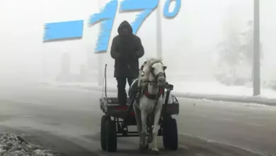 دمای هوا