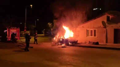آلانیا