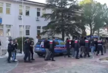 جرایم سازمان یافته