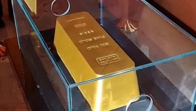 821x464 1734513022728