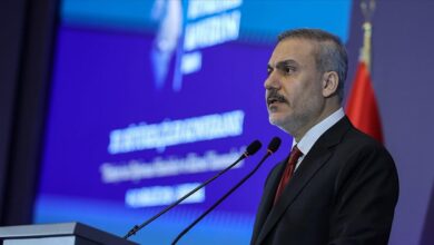 فیدان