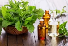 گیاهان دارویی