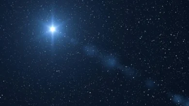 آیا می دانستید انسان ها از ستاره ها به وجود آمده اند؟1