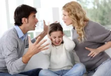 زمین رایگان