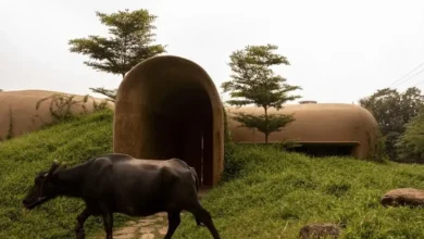 تصاویر معماری استثنایی خانه‌ای با حال و هوای غار در هندوستان 1