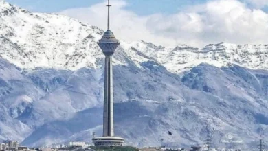 پیاده روی