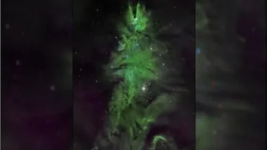 جشن کریسمس کیهانی در فضا