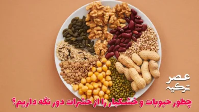 ساس
