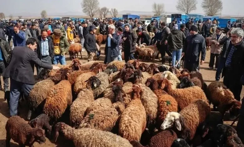دام‌