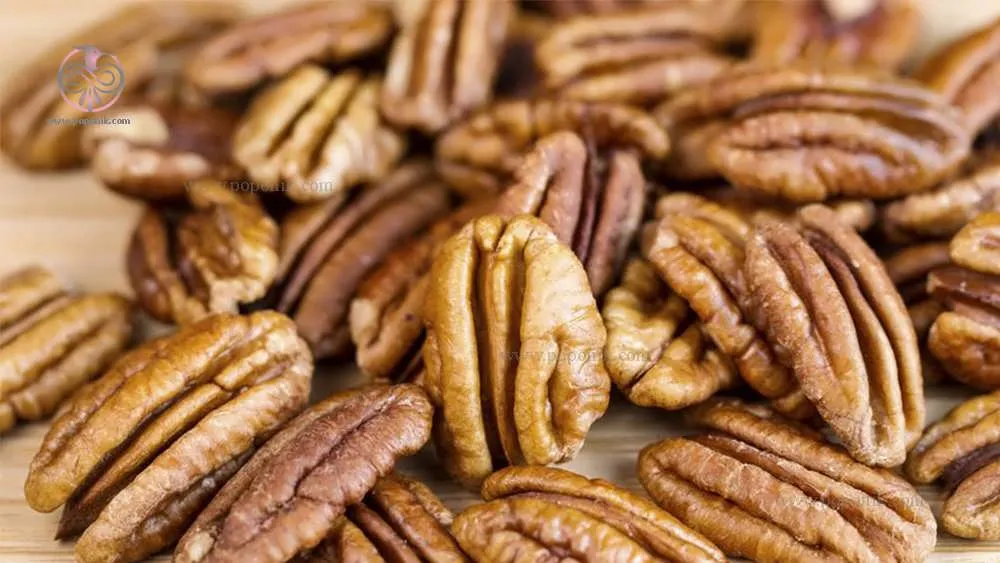 گردو پکان