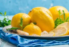 لیمو ترش
