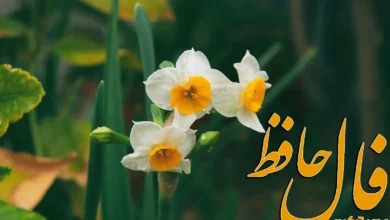 فال حافظ 15 دی 1403