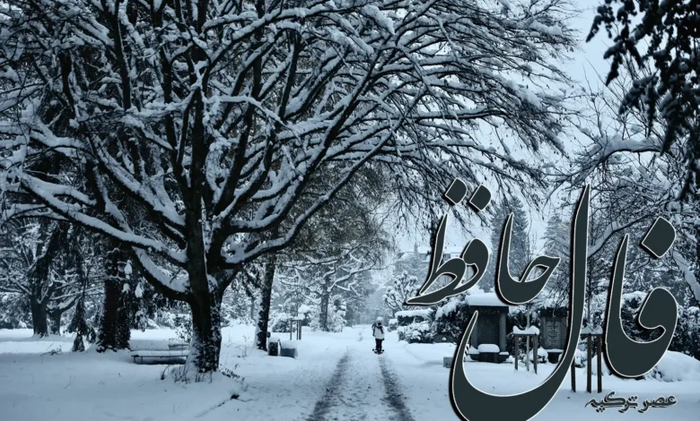 فال حافظ 30 آذر 1403