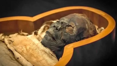 مومیایی