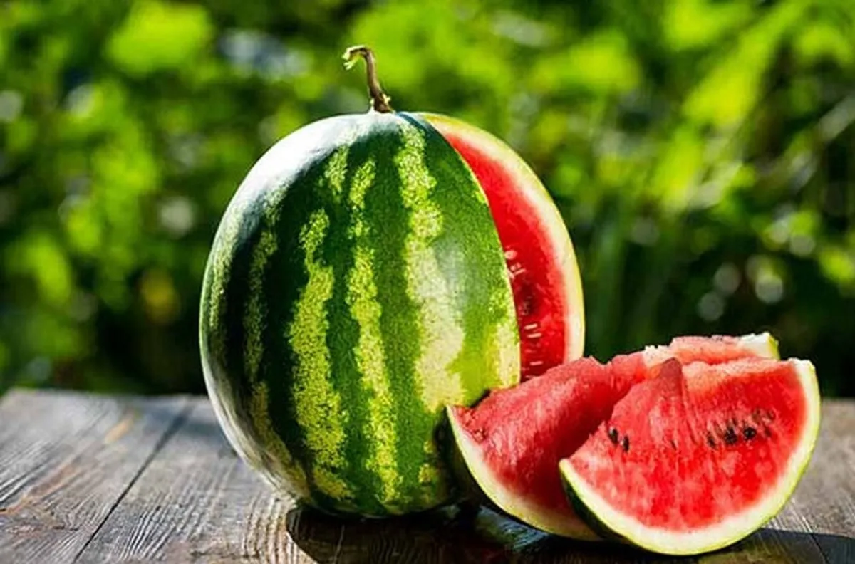 چرا باید در شب یلدا هندوانه بخوریم؟1