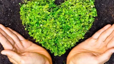 ۱۰ تغییر کوچک برای سبزتر کردن خانه و زندگی