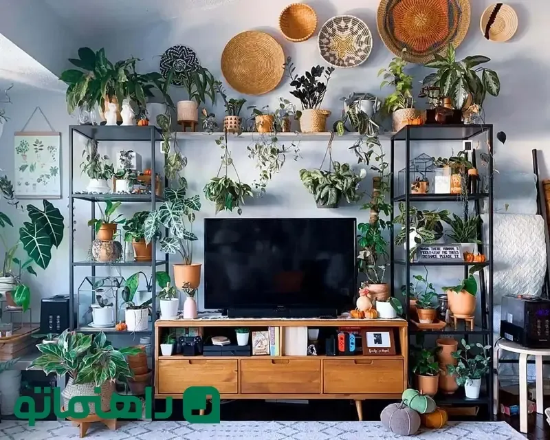 دکوری زیبا برای میز تلویزیون