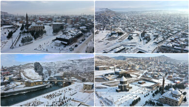 07 15 04 kars
